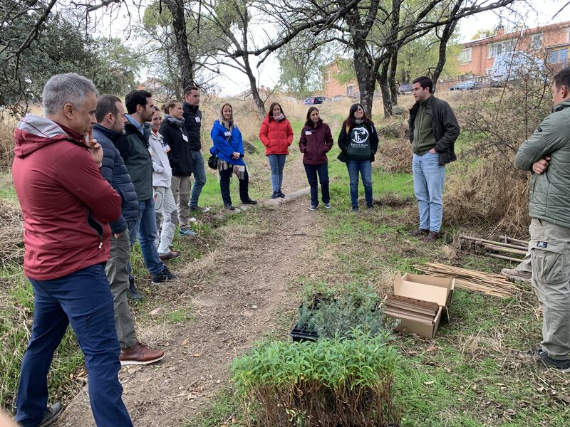 Jornada Plantación Reverse