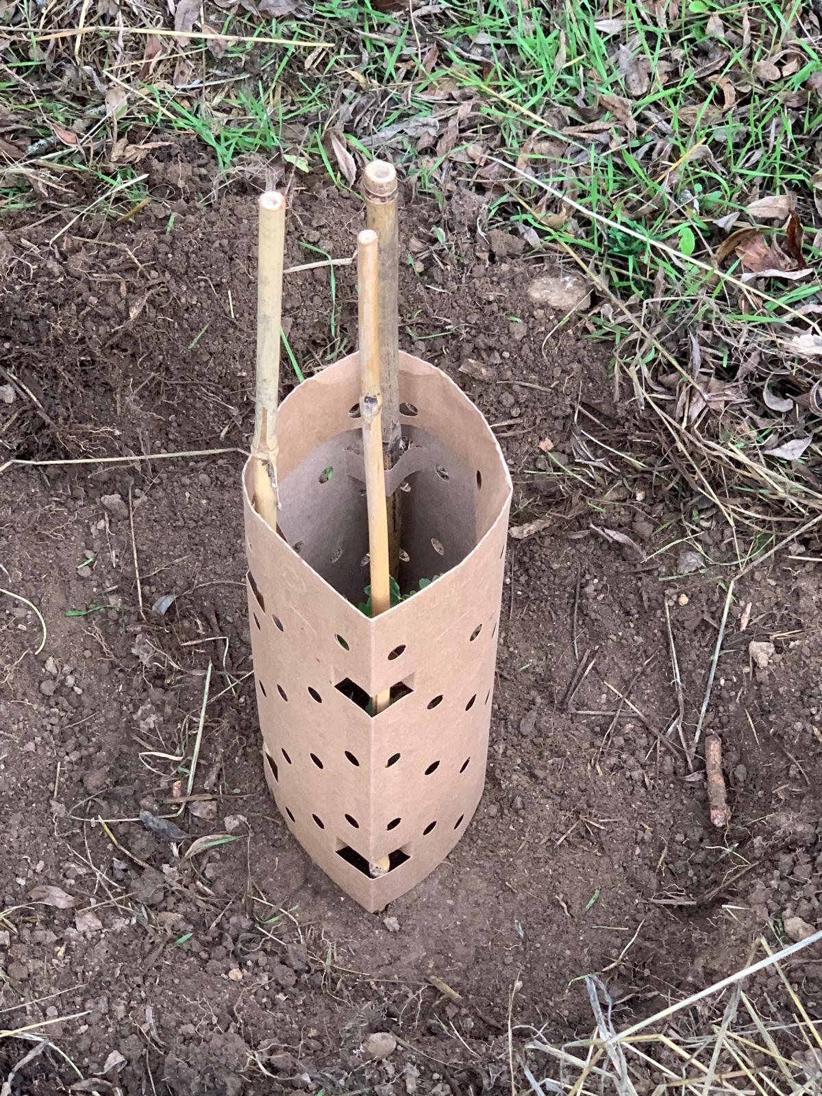 PHOTO-2025-11-10-11-12-35 8