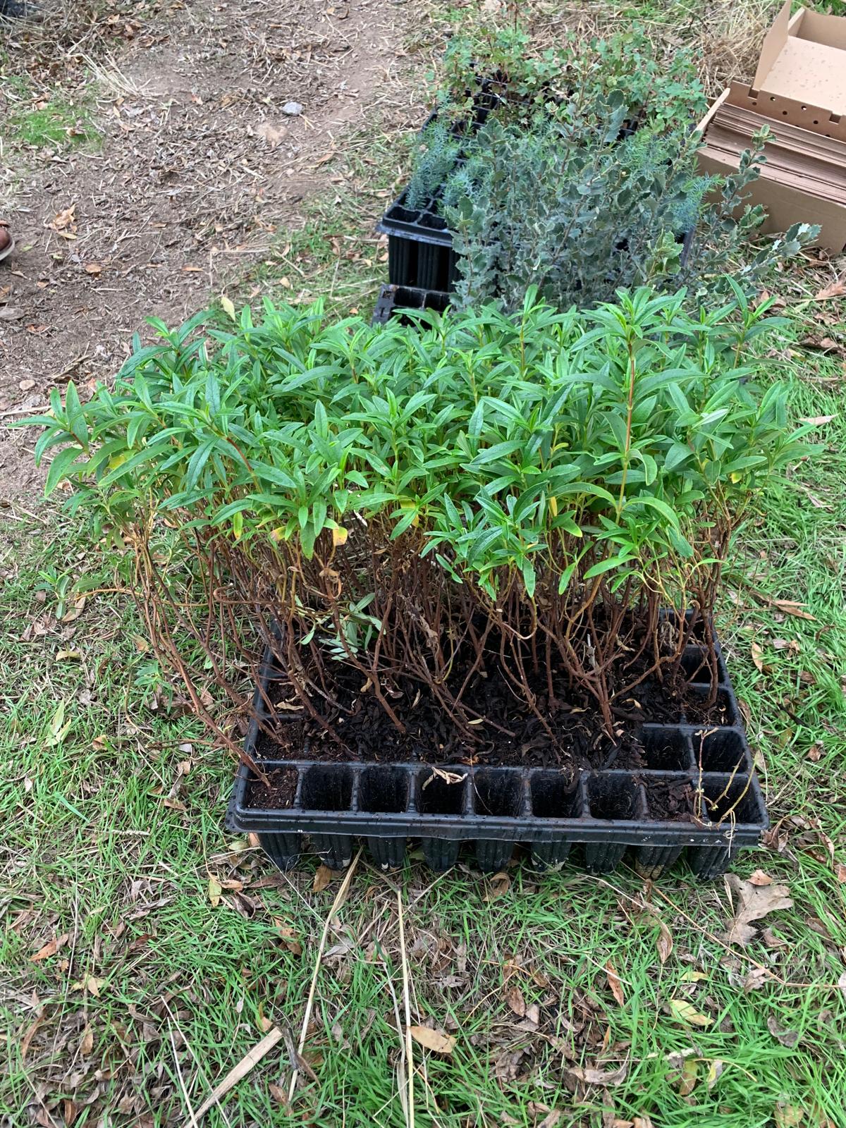 PHOTO-2025-11-10-11-22-42